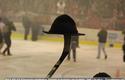 2011-03-13-plh-cracovia-gks tych-u_1856