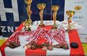 2012-04-01-Turniej_mini_Hokeja-u_4574_720