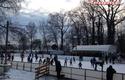 lodowisko-ks-cracovia5