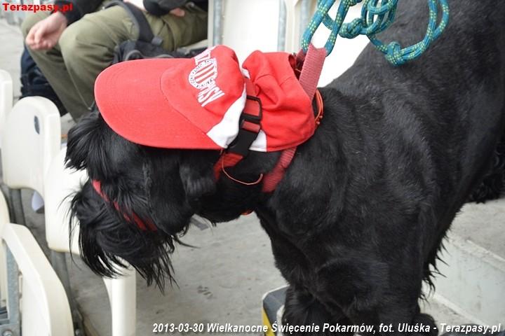 2013-03-30_Swiecenie_Pokarmow_4264_720