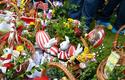 2014-04-19_Swiecenie_Pokarmow_3861_720