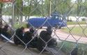 2003-09-13_Piast_Gliwice-Cracovia_072