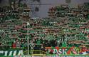 2011-03-04-oe-slask-cracovia-u-1_9726_600
