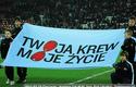 2011-03-19-oe-cracovia-korona-u_2017_600