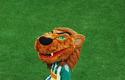 2011-08-14-oe-lechia-cracovia_w_4678_720
