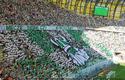 2011-08-14-oe-lechia-cracovia_w_4687_720