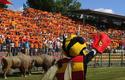 2011-08-21-jagiellonia-cracovia_b_0046_720