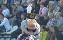 2011-09-24-oe-gornik.z-cracovia_u_3943