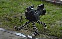 2012-03-02-oe-cracovia-zaglebie lubin-u_8514_720