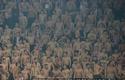 2012-03-23-oe-cracovia-gornik zabrze-u_1015_720