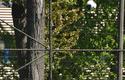2012-04-28-me-cracovia-wisla_u_7837_720