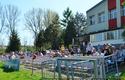 2012-04-28-me-cracovia-wisla_u_8189_720
