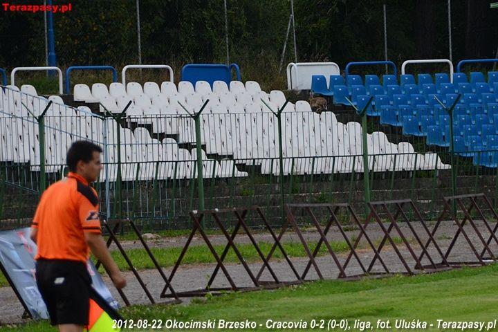 2012-08-22_Okocimski-Cracovia_8669_720