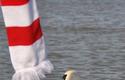 2012-10-03_Flota-Cracovia_pp_0177