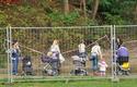 2012-10-03_Flota-Cracovia_pp_0750
