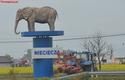 2012-10-24_Nieciecza-Cracovia_4867_720