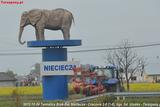 2012-10-24_Nieciecza-Cracovia_4867_720
