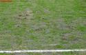 2013-04-20_Cracovia-Warta_Poznan_5873_720