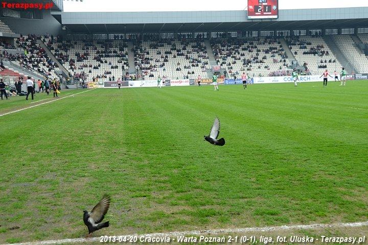 2013-04-20_Cracovia-Warta_Poznan_6487_720