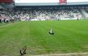 2013-04-20_Cracovia-Warta_Poznan_6487_720