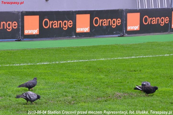 2013-06-04_Stadion_przed_meczem_6954_720