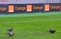 2013-06-04_Stadion_przed_meczem_6954_720