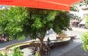 2013-02-04_Alanya-2013_02