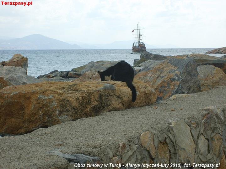 2013-02-04_Alanya-2013_34