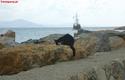2013-02-04_Alanya-2013_34