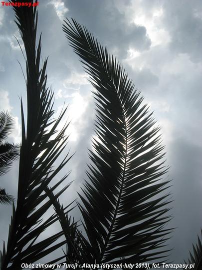 2013-02-04_Alanya-2013_39