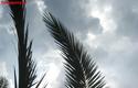 2013-02-04_Alanya-2013_39
