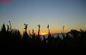 2013-02-04_Alanya-2013_50