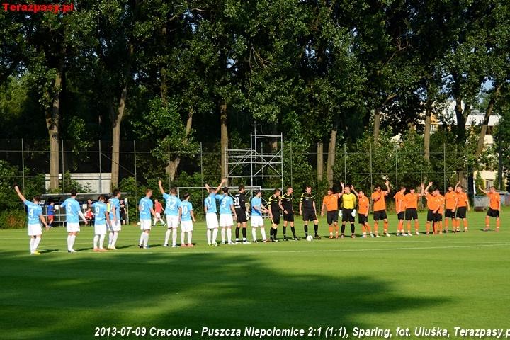 2013-07-09_Cracovia-Puszcza_Niepolomice_2673_720