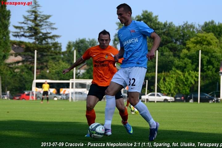 2013-07-09_Cracovia-Puszcza_Niepolomice_2687_720