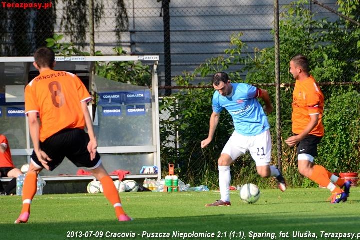 2013-07-09_Cracovia-Puszcza_Niepolomice_2701_720
