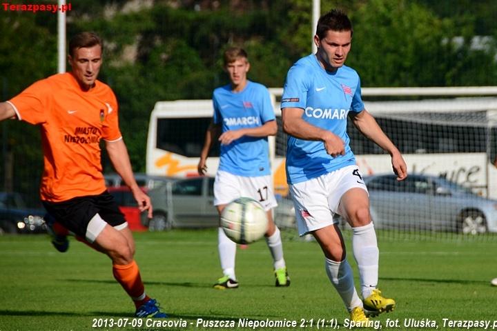 2013-07-09_Cracovia-Puszcza_Niepolomice_2711_720