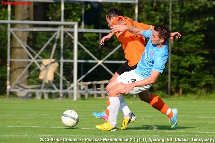2013-07-09_Cracovia-Puszcza_Niepolomice_2724_720