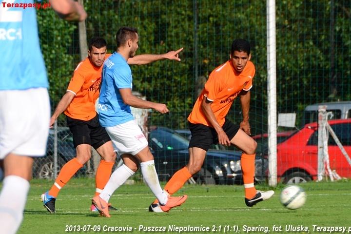 2013-07-09_Cracovia-Puszcza_Niepolomice_2736_720