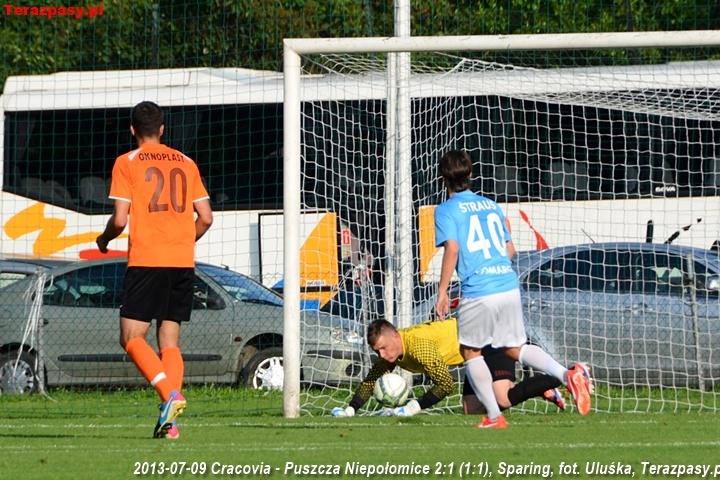 2013-07-09_Cracovia-Puszcza_Niepolomice_2739_720