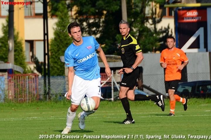 2013-07-09_Cracovia-Puszcza_Niepolomice_2755_720