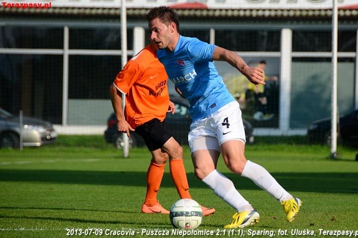 2013-07-09_Cracovia-Puszcza_Niepolomice_2760_720
