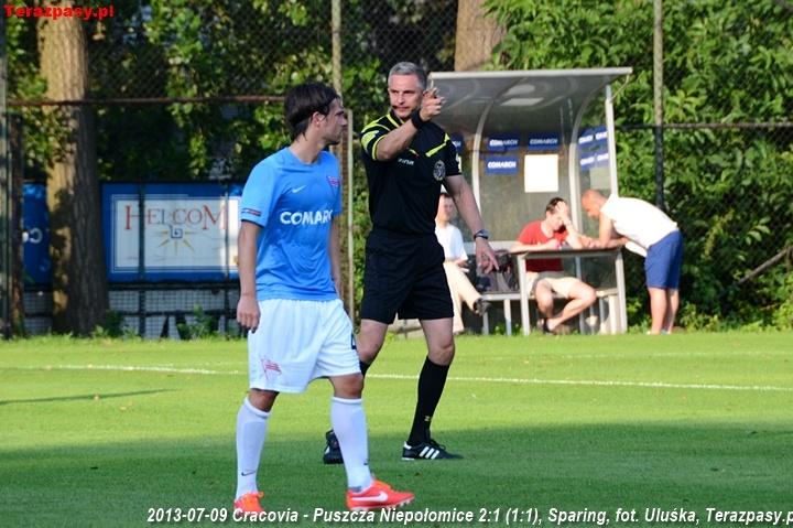 2013-07-09_Cracovia-Puszcza_Niepolomice_2786_720