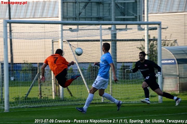 2013-07-09_Cracovia-Puszcza_Niepolomice_2798_720