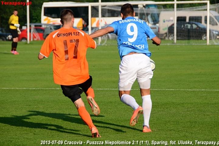 2013-07-09_Cracovia-Puszcza_Niepolomice_2812_720