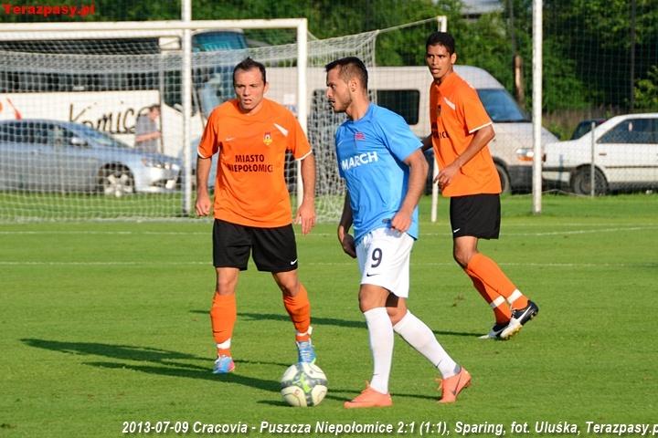 2013-07-09_Cracovia-Puszcza_Niepolomice_2833_720
