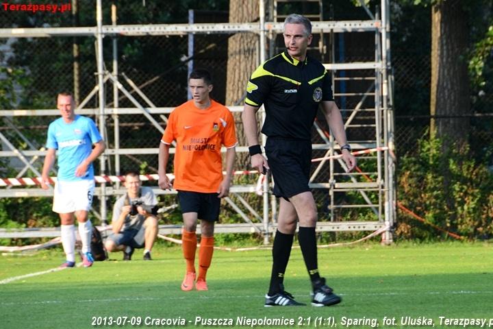2013-07-09_Cracovia-Puszcza_Niepolomice_2871_720