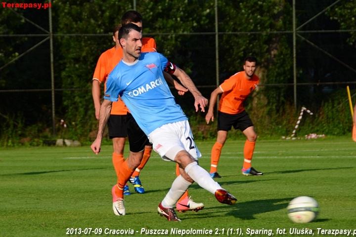 2013-07-09_Cracovia-Puszcza_Niepolomice_2897_720