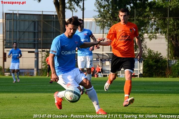2013-07-09_Cracovia-Puszcza_Niepolomice_2942_720