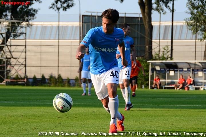 2013-07-09_Cracovia-Puszcza_Niepolomice_2945_720