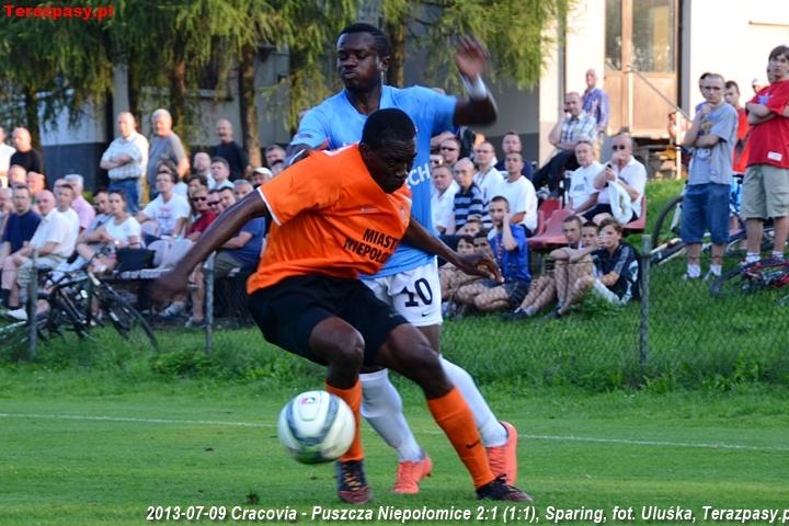 2013-07-09_Cracovia-Puszcza_Niepolomice_2960_720
